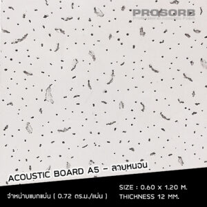 Acoustic Board อะคูสติกบอร์ด แผ่นซับเสียงแข็ง | Prosorb